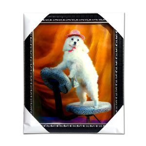 ANS 033 Dx Modern Art