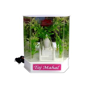 KM DRISHTI  TAJ  D/L