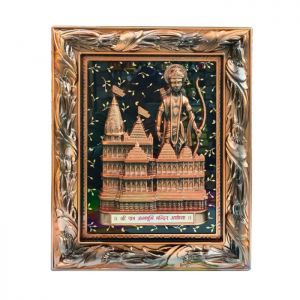 Feeling Shardha ayodhya mandir 