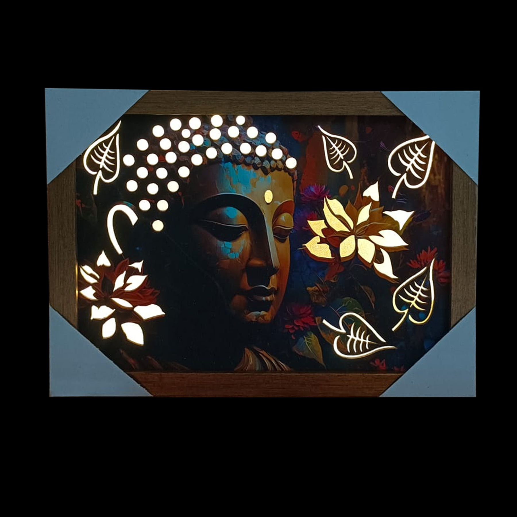 AS 33 Budha 9*12 digital laser light