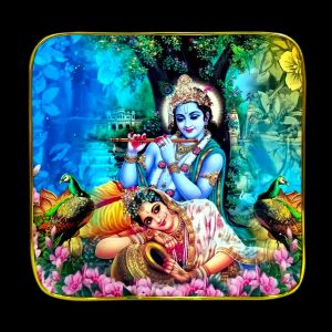 Taksha S RK 12*12 Crystal w/f