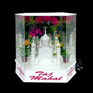 Km Mughal  Taj  D/L  (8)